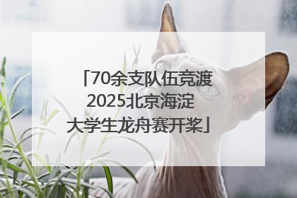 70余支队伍竞渡 2025北京海淀大学生龙舟赛开桨