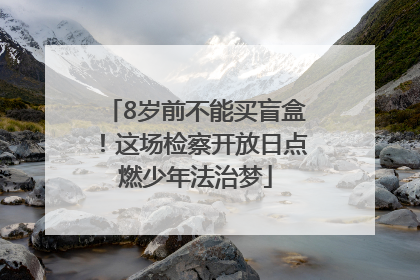 8岁前不能买盲盒！这场检察开放日点燃少年法治梦