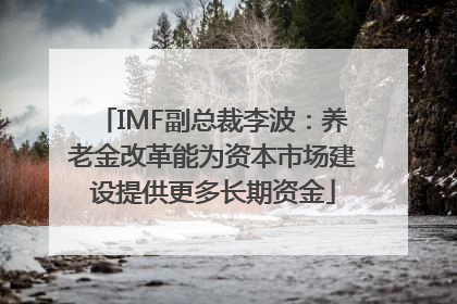 IMF副总裁李波：养老金改革能为资本市场建设提供更多长期资金