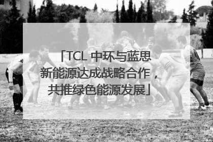 TCL 中环与蓝思新能源达成战略合作，共推绿色能源发展